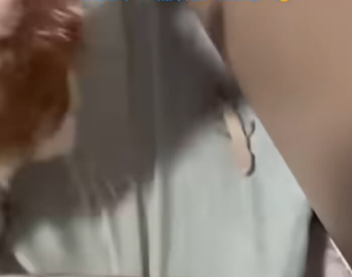 애니멀플래닛