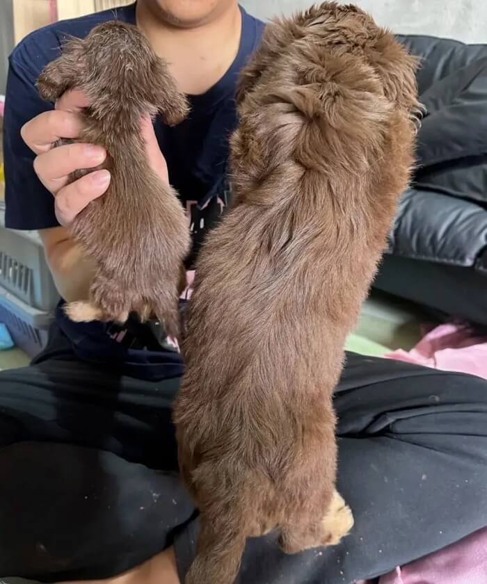 애니멀플래닛