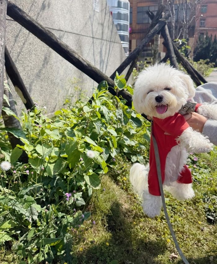 애니멀플래닛