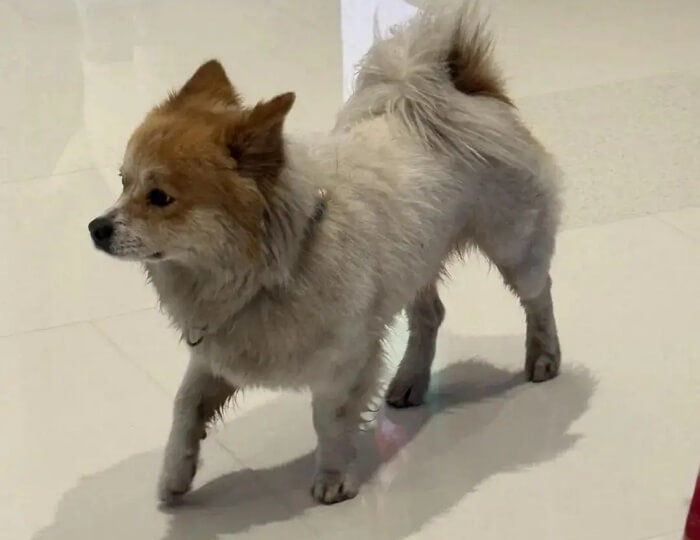 애니멀플래닛