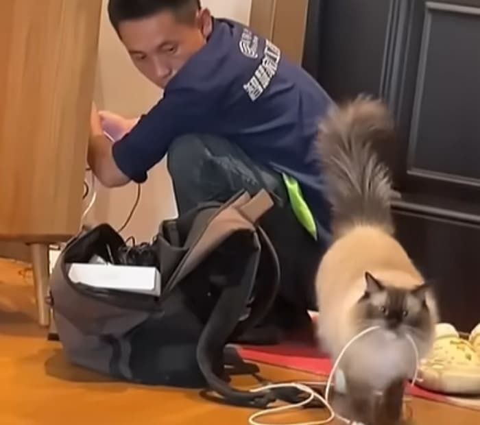 애니멀플래닛