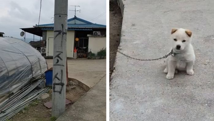 애니멀플래닛