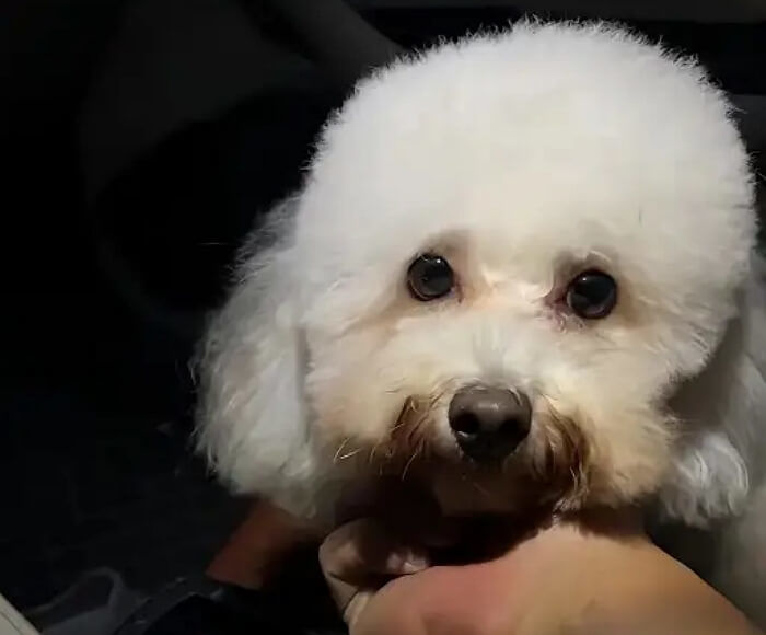 애니멀플래닛