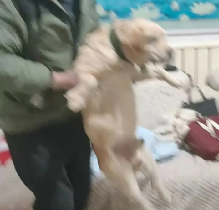 애니멀플래닛