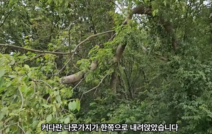 애니멀플래닛