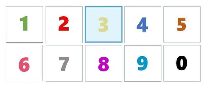 애니멀플래닛