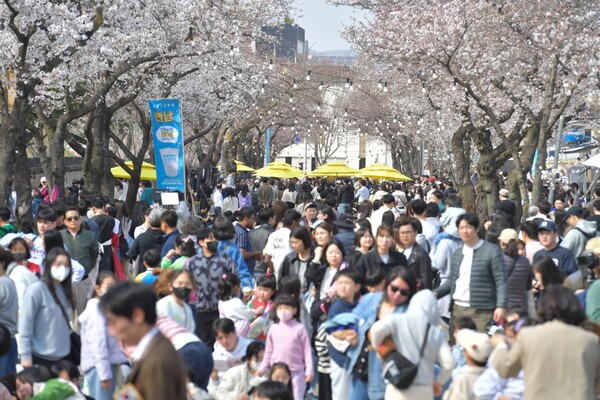 Discover the 2026 Gyeongju Daereungwon Stone Wall Festival: A Springtime Extravaganza for Tourists!