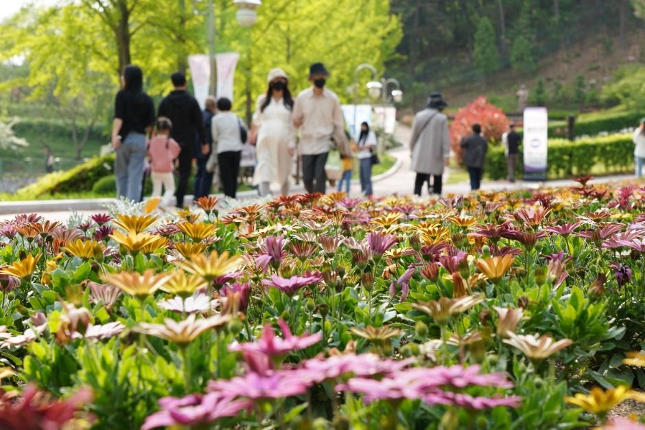 청남대 봄꽃축제 / 사진=한국관광콘텐츠랩