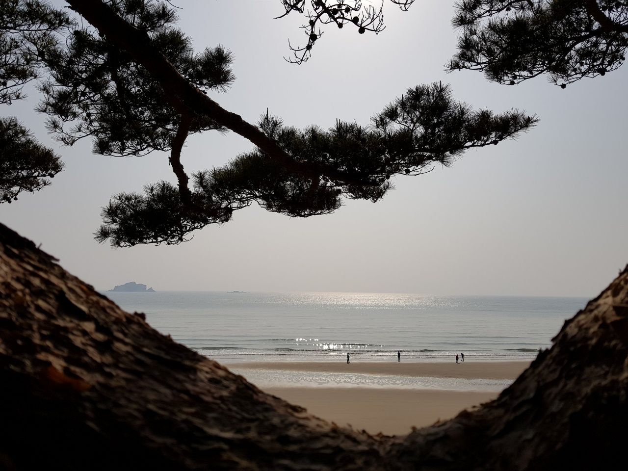 대청도 모래울 해변 / 사진=인천투어갤러리