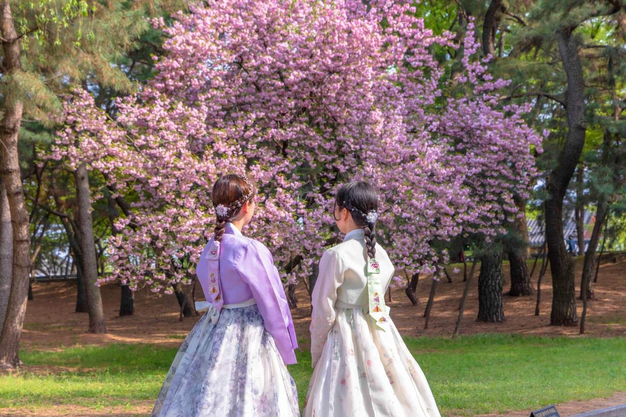 대릉원 / 사진=한국관광공사 포토코리아@황성훈