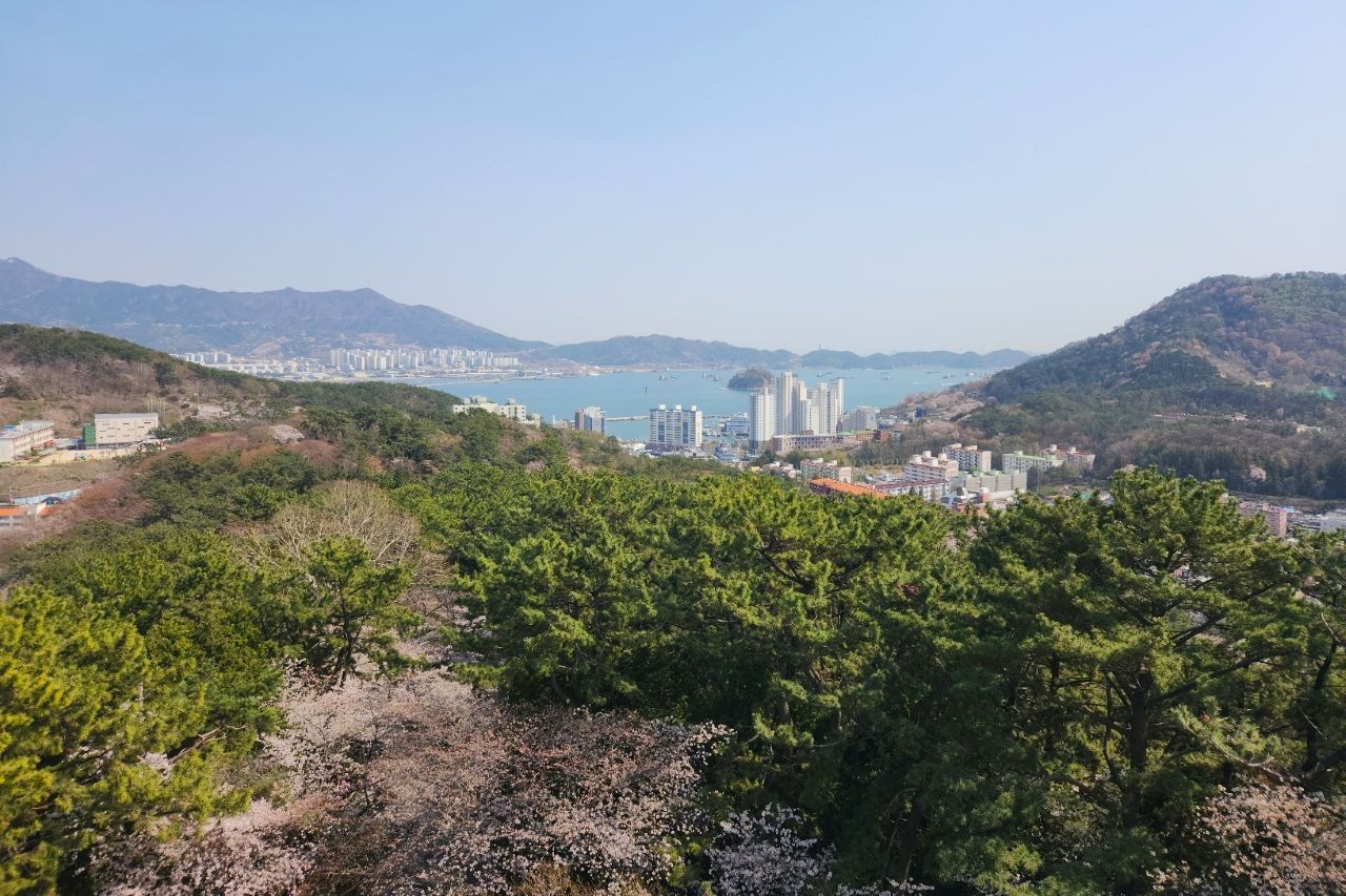 제황산에서 바라본 진해 풍경