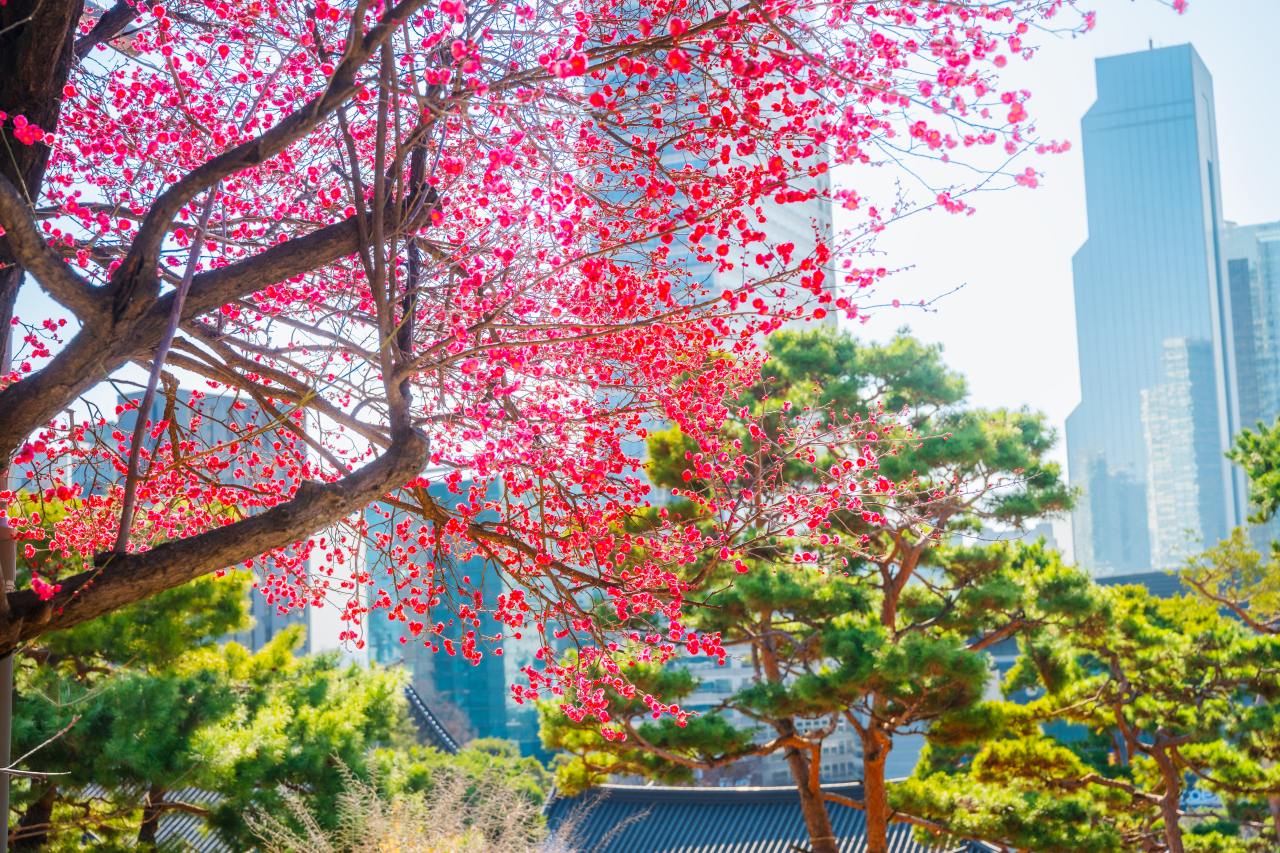 꿀팁