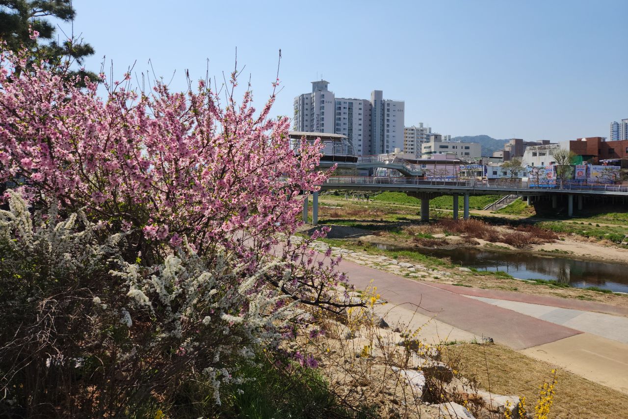 직접촬영