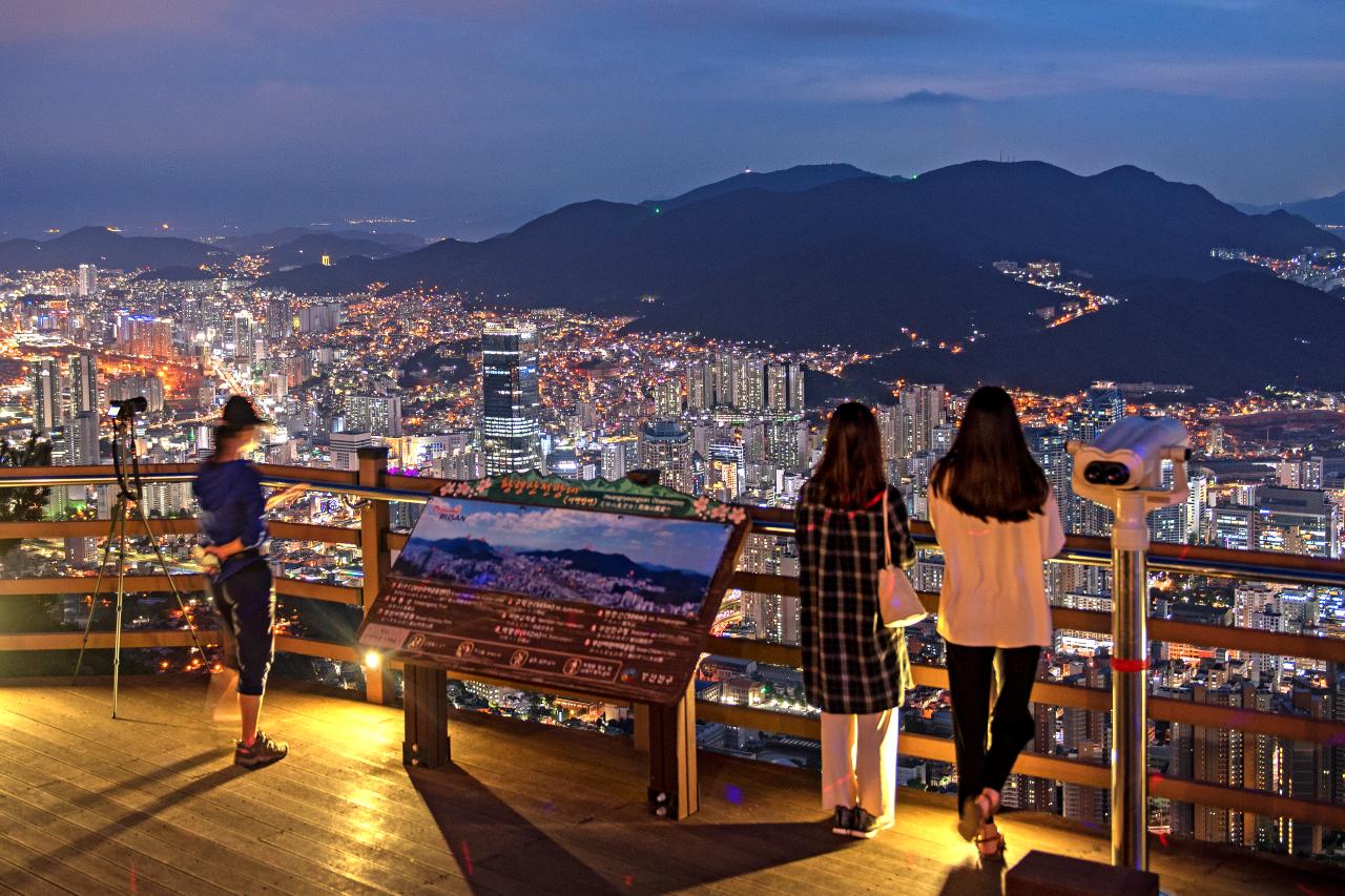야간 벚꽃의 반전 / 사진=부산관광공사 써머트리