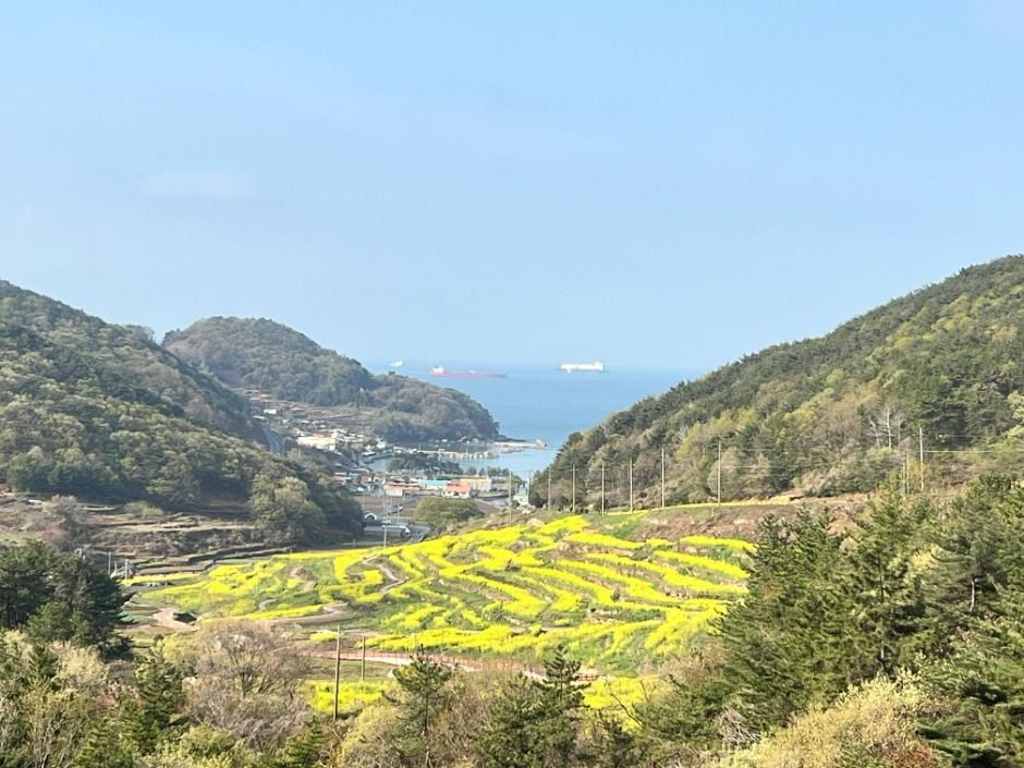 파라다랑스 규모 / 사진=한국관광콘텐츠랩
