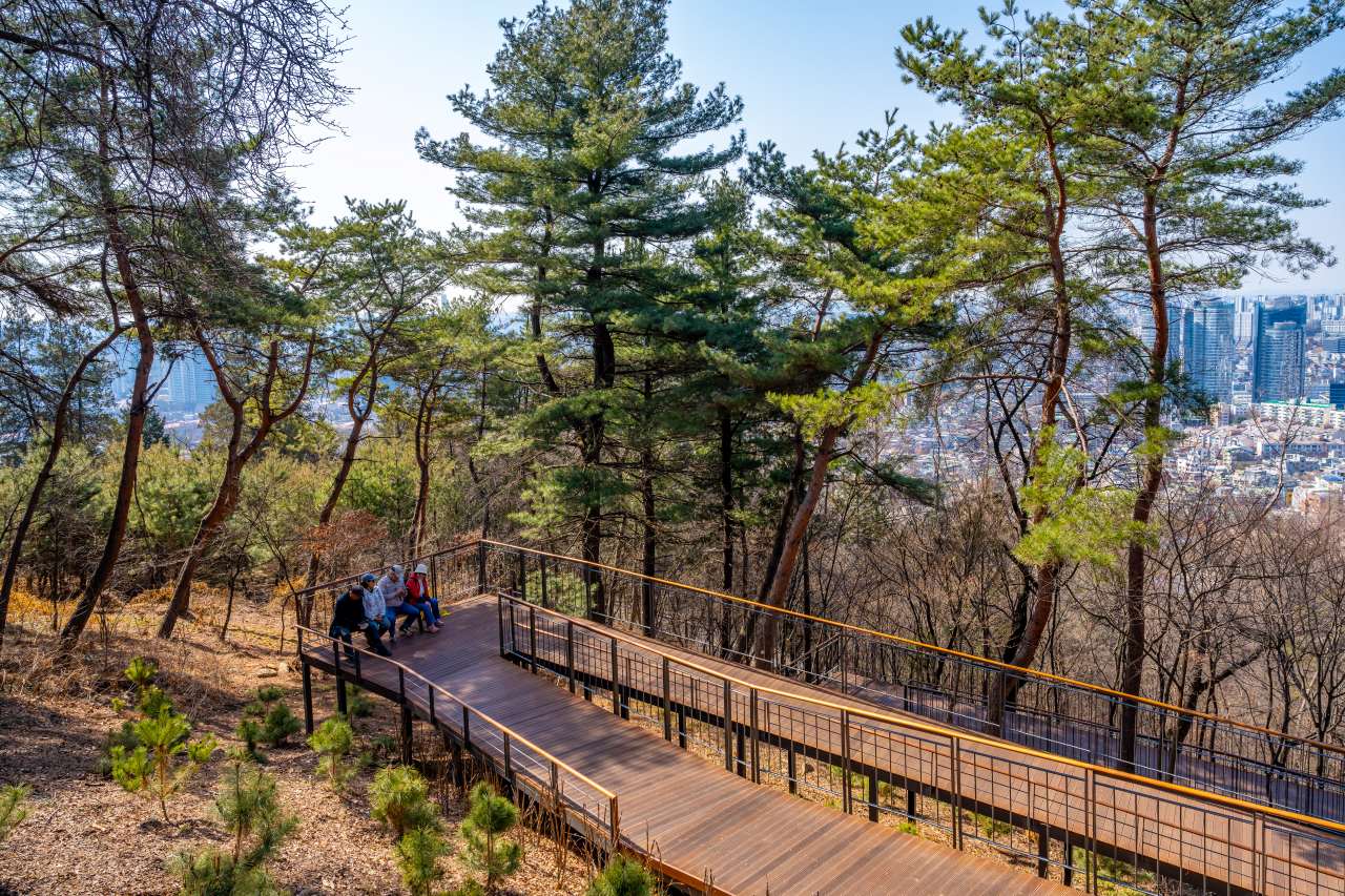 남산하늘숲길