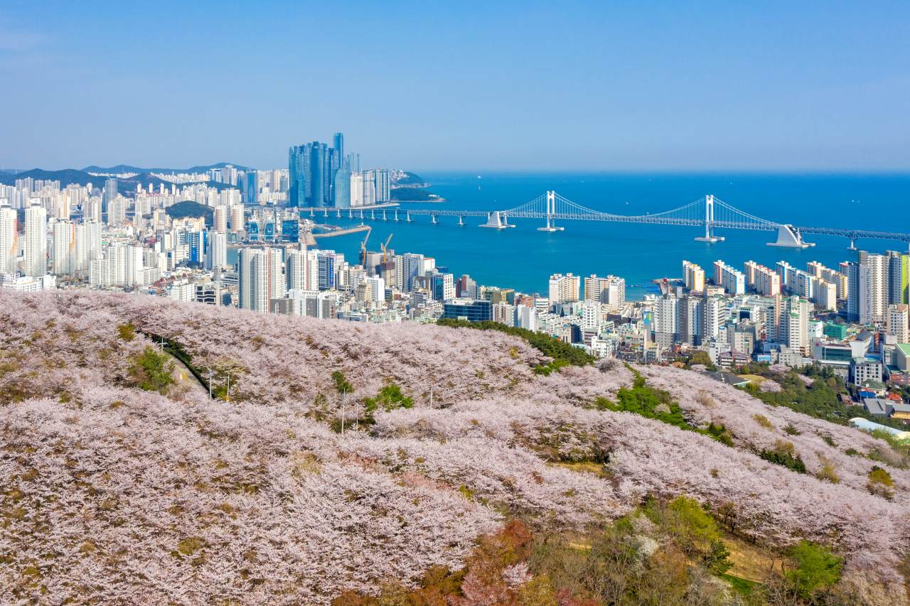 탁 트인 전망 / 사진=부산관광공사 써머트리