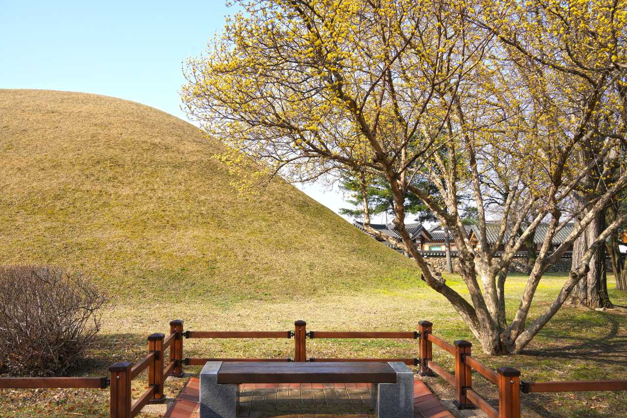 3월 경주 가볼 만한 곳
