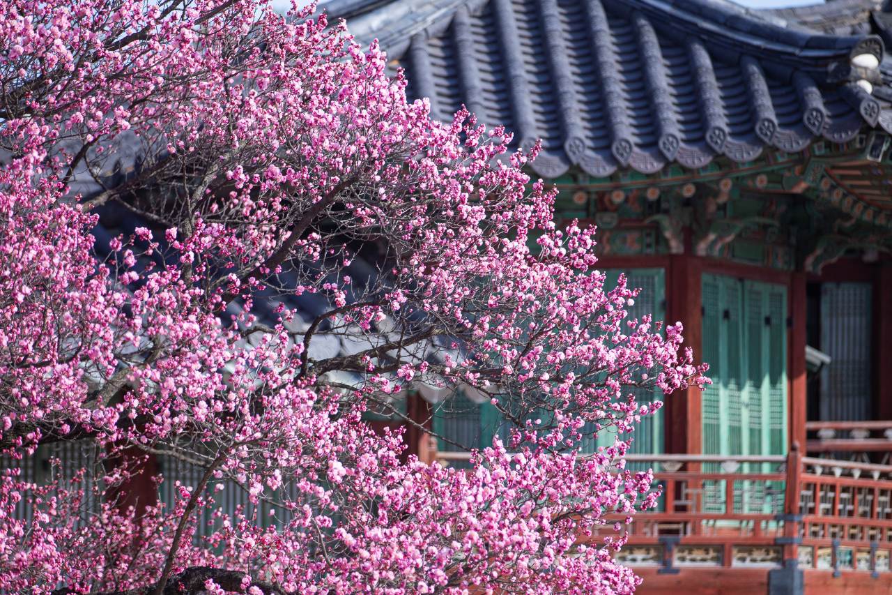 사진=서울관광재단
