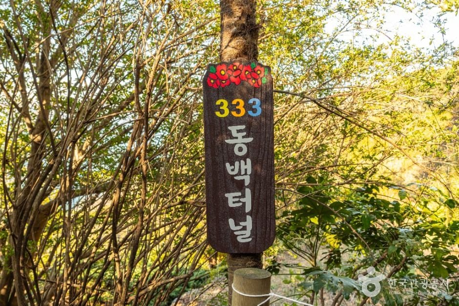 동백터널 / 사진=한국관광콘텐츠랩