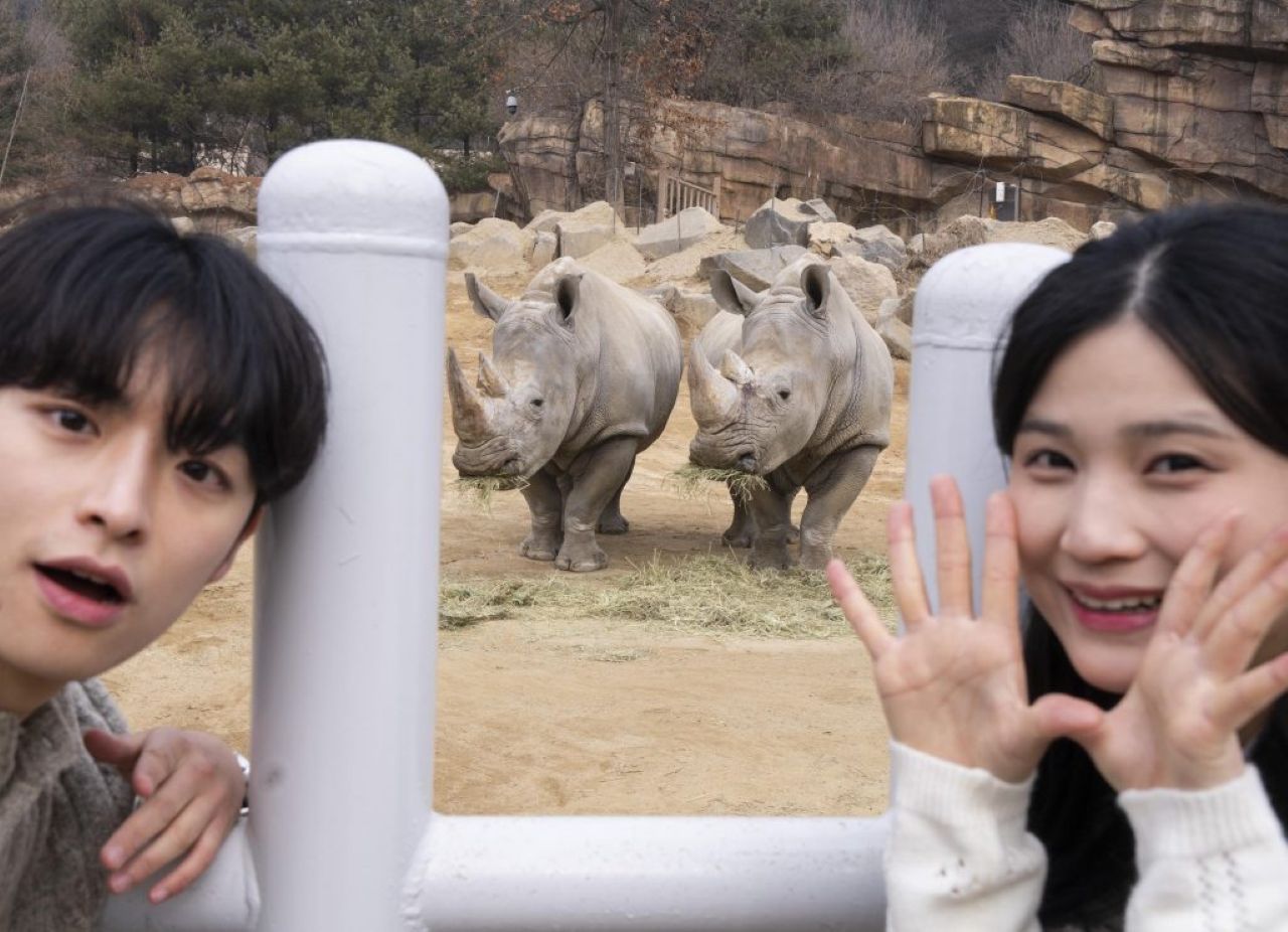 Everland Safari / Photo: Samsung C&T Newsroom