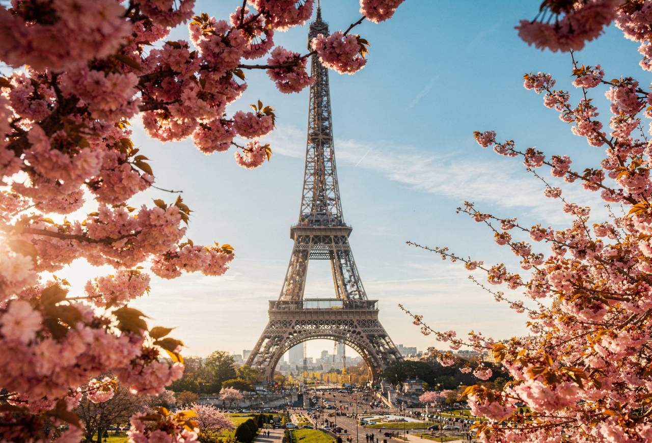 2026 Paris Cherry Blossom Timing and Top Spots