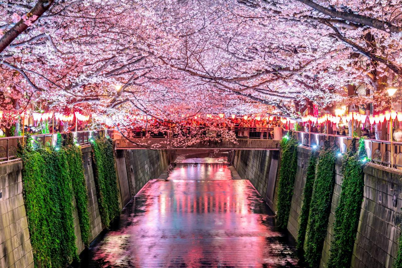 Best time to visit?