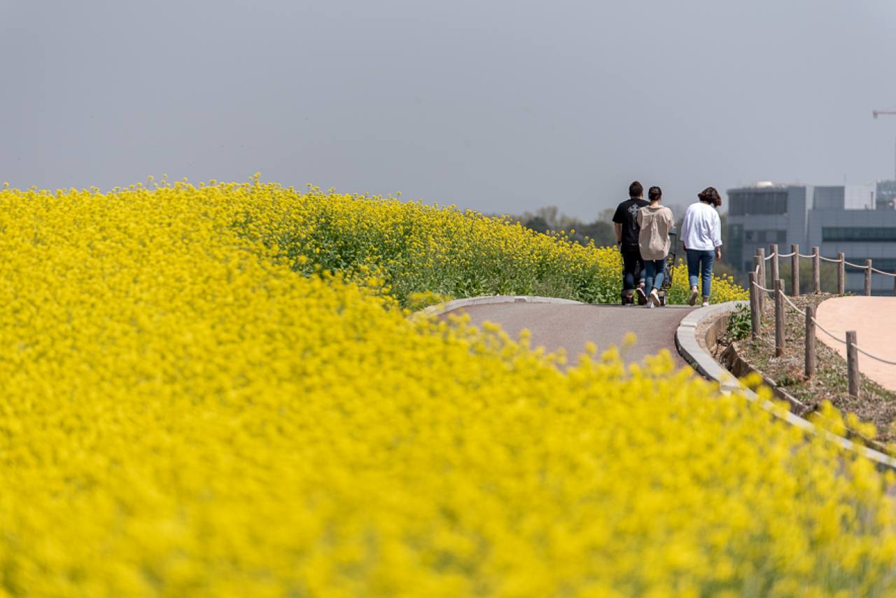 사진=경기관광공사@협이투어