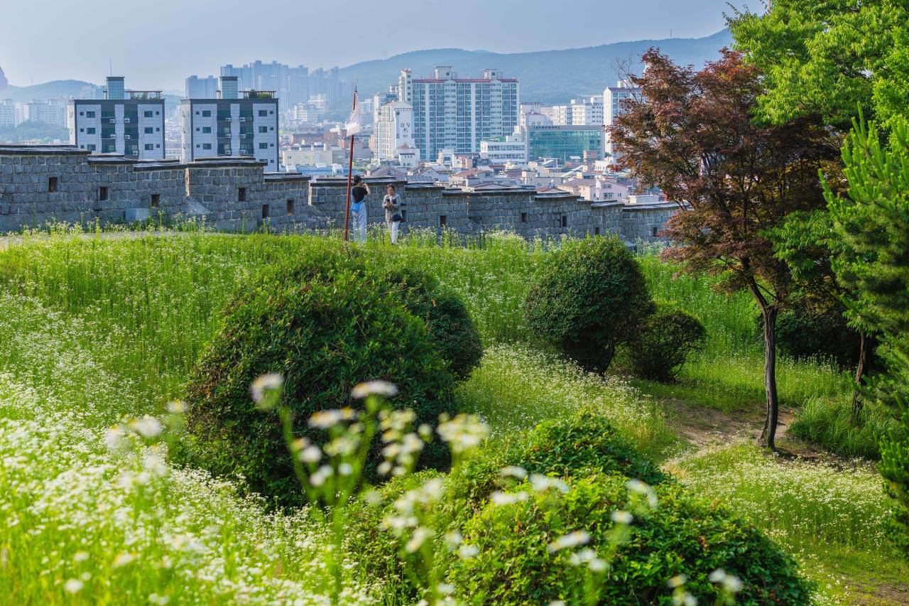 Suwon Hwaseong walking trail / Photo: Korea Tourism Organization Photo Korea @Kim Juwon