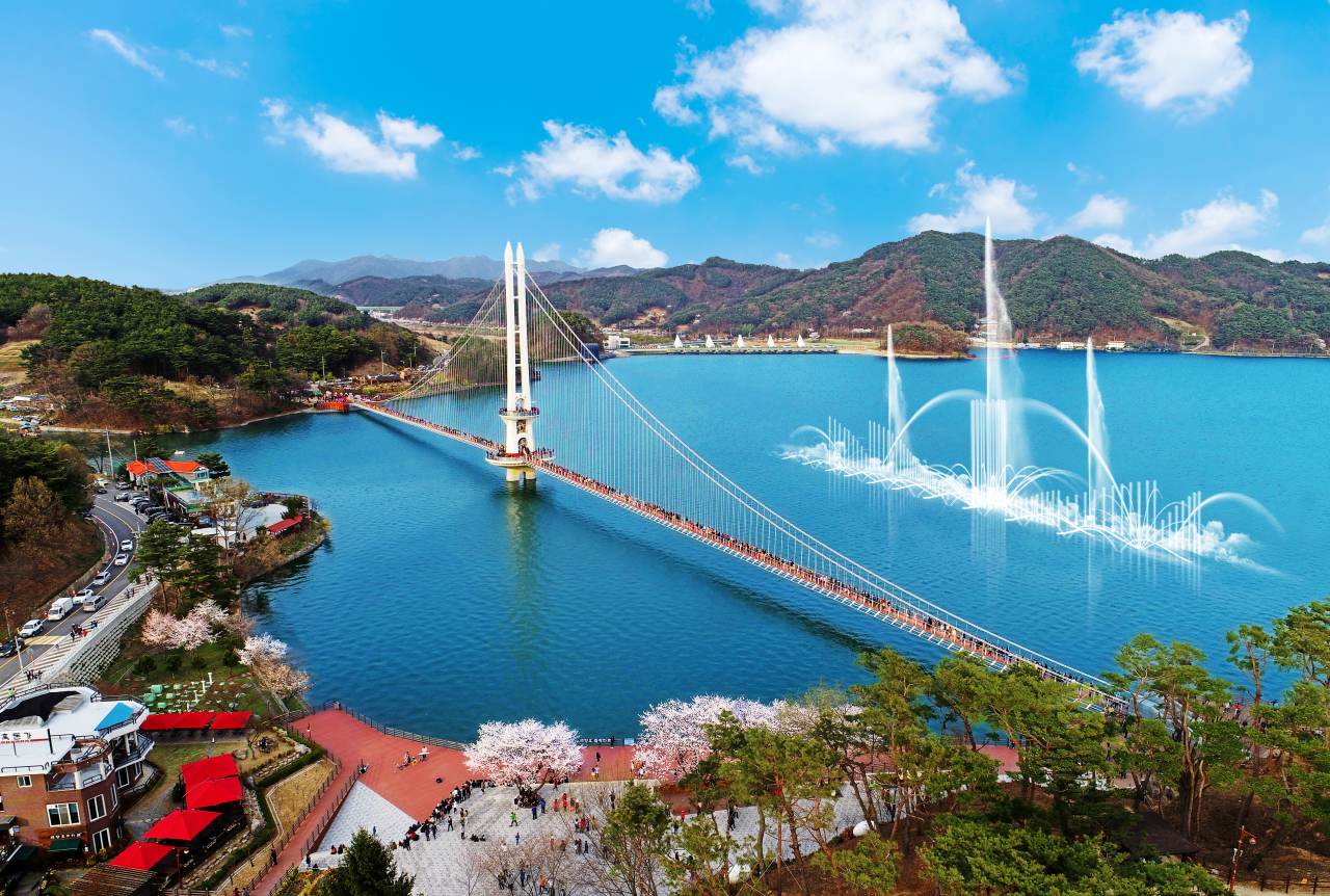 예당호 벚꽃 / 사진=공공누리 충청남도 예산군