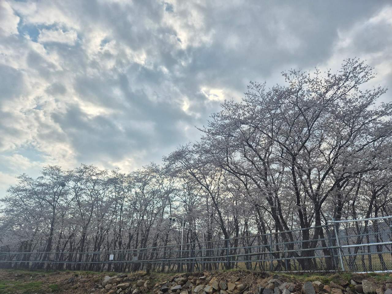 의외로 조용한 분위기 / 사진=창원관광 공식 누리집