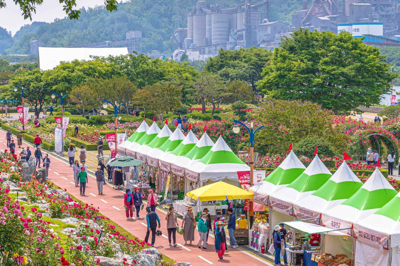 Scene from the 2025 Rose Festival / Photo: Korea Tourism Organization Photo Korea @ Hwang Seong-hoon