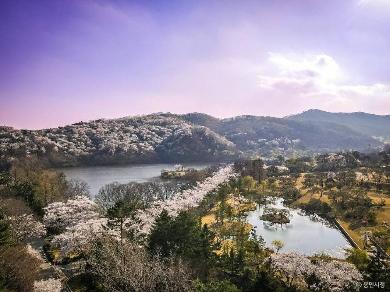 용인 8경 봄 여행지 / 사진=한국관광콘텐츠랩