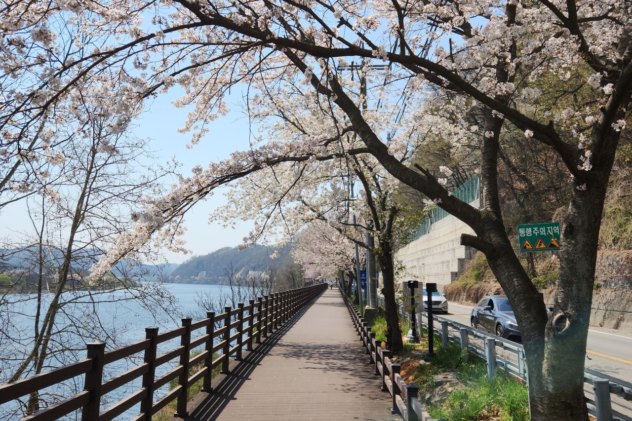 대청호 오백리길 / 직접촬영