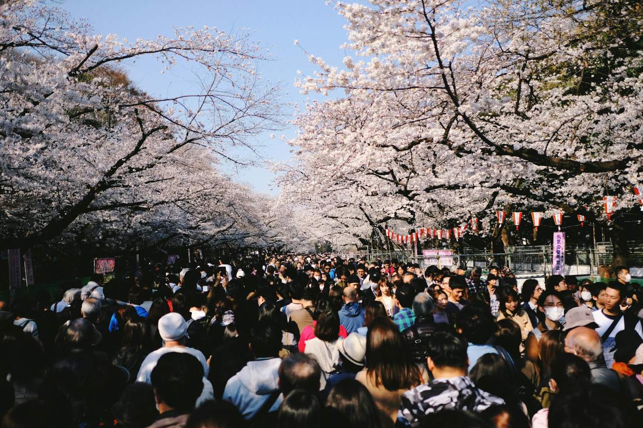 인파 피해 떠나보자! / 사진=unsplash@Trevor Paxton