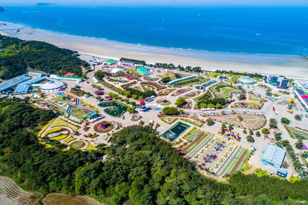태안 세계툴립축제 / 사진=한국관광공사 포토코리아@라이브스튜디오