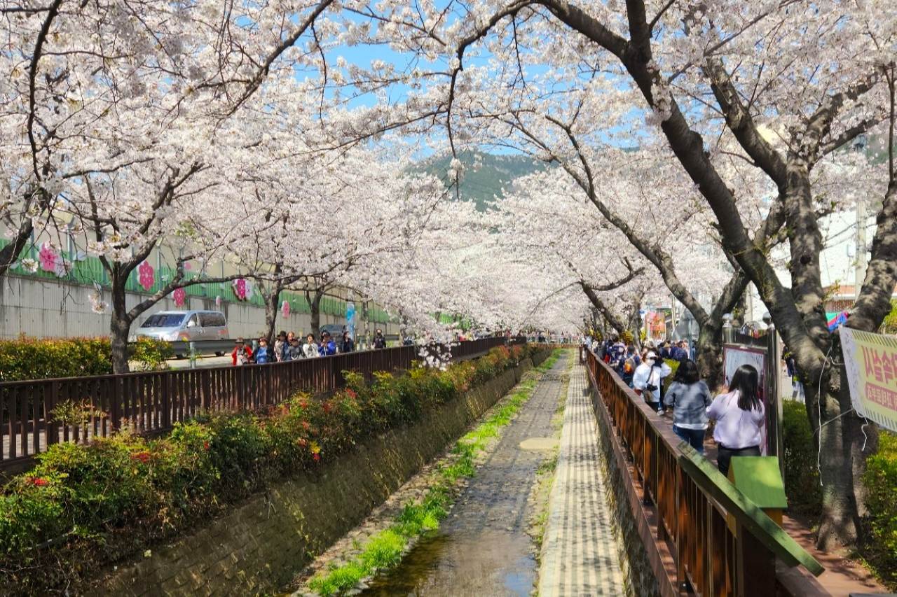 여좌천 산책로