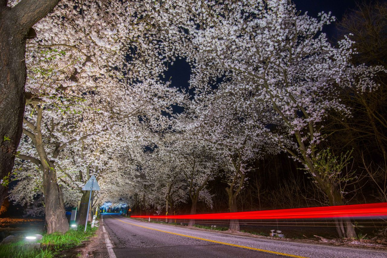 &nbsp;   Chungbuk Jecheon / Photo=Korea Tourism Organization Photo Korea@Live Studio