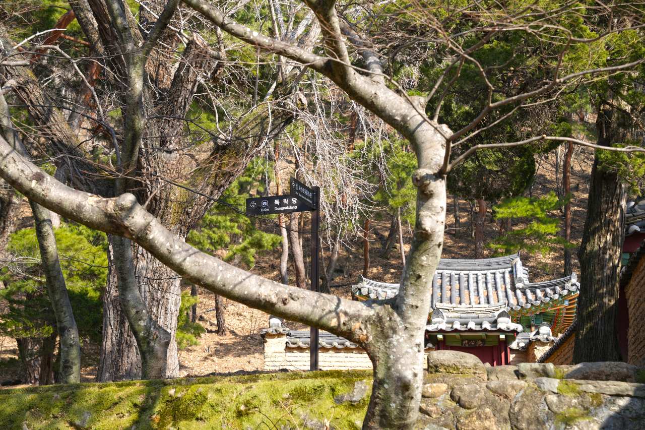 옥산서원둘레길