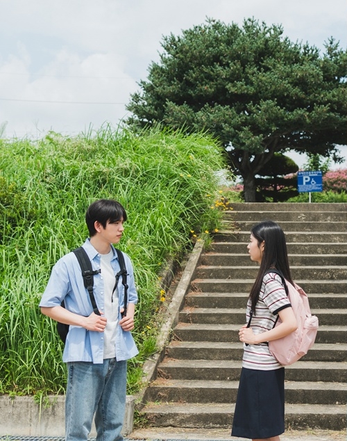 引用：SLL、KAKAOエンターテインメント