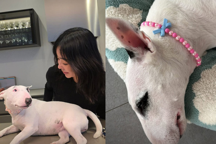 引用：イ・ヘヨンのSNSアカウント