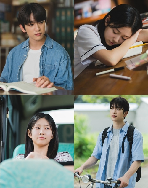 引用：SLL、KAKAOエンターテインメント