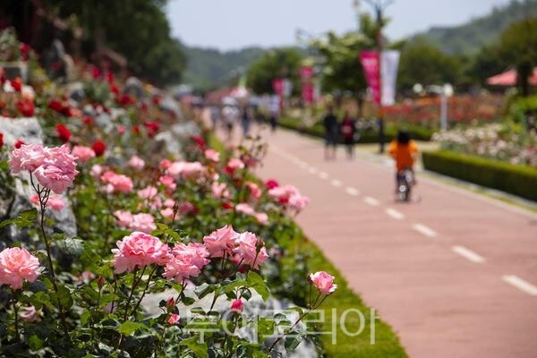 삼척시 제공