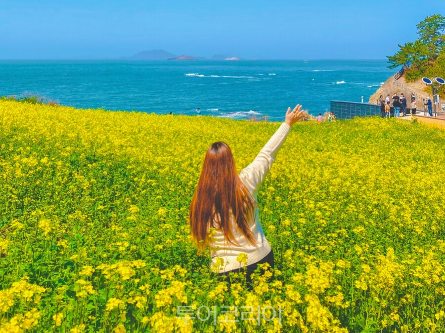 &nbsp;   Buan Byeonsan Masil-gil / Photo - Seungwoo Travel