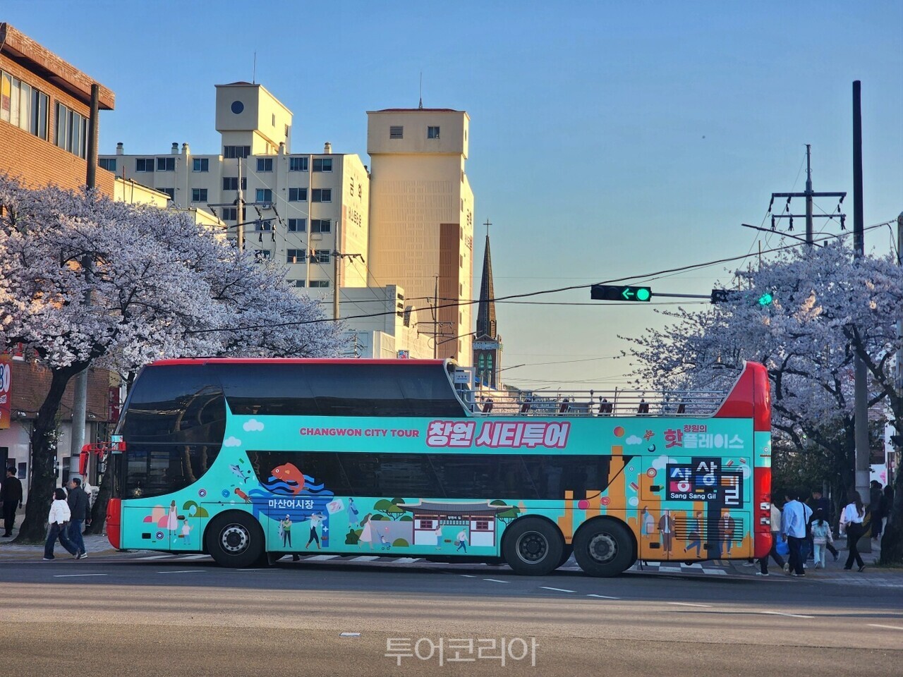 진해군항제 벚꽃 투어버스 / 사진-창원시