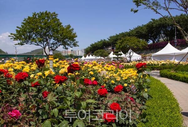 삼척시 제공