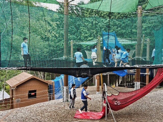 Sacheon Cable Car’s Netfore: Expanded Forest Therapy Programs for 2026 – What to Expect?