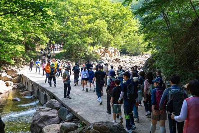 Photo from an exploratory event in the unopened section of Jangdang Valley, Jirisan. Provided by Sancheong County.