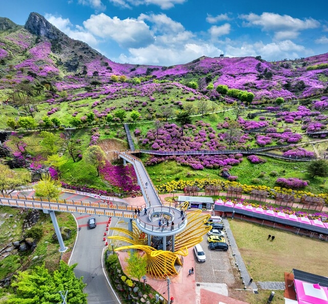 View of Hwangmaesan Mirinae Park observatory. Provided by Sancheong County.