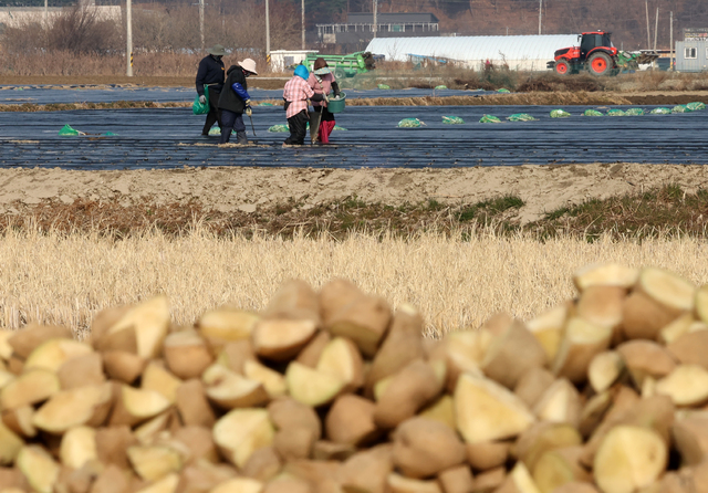 Yonhap News Agency